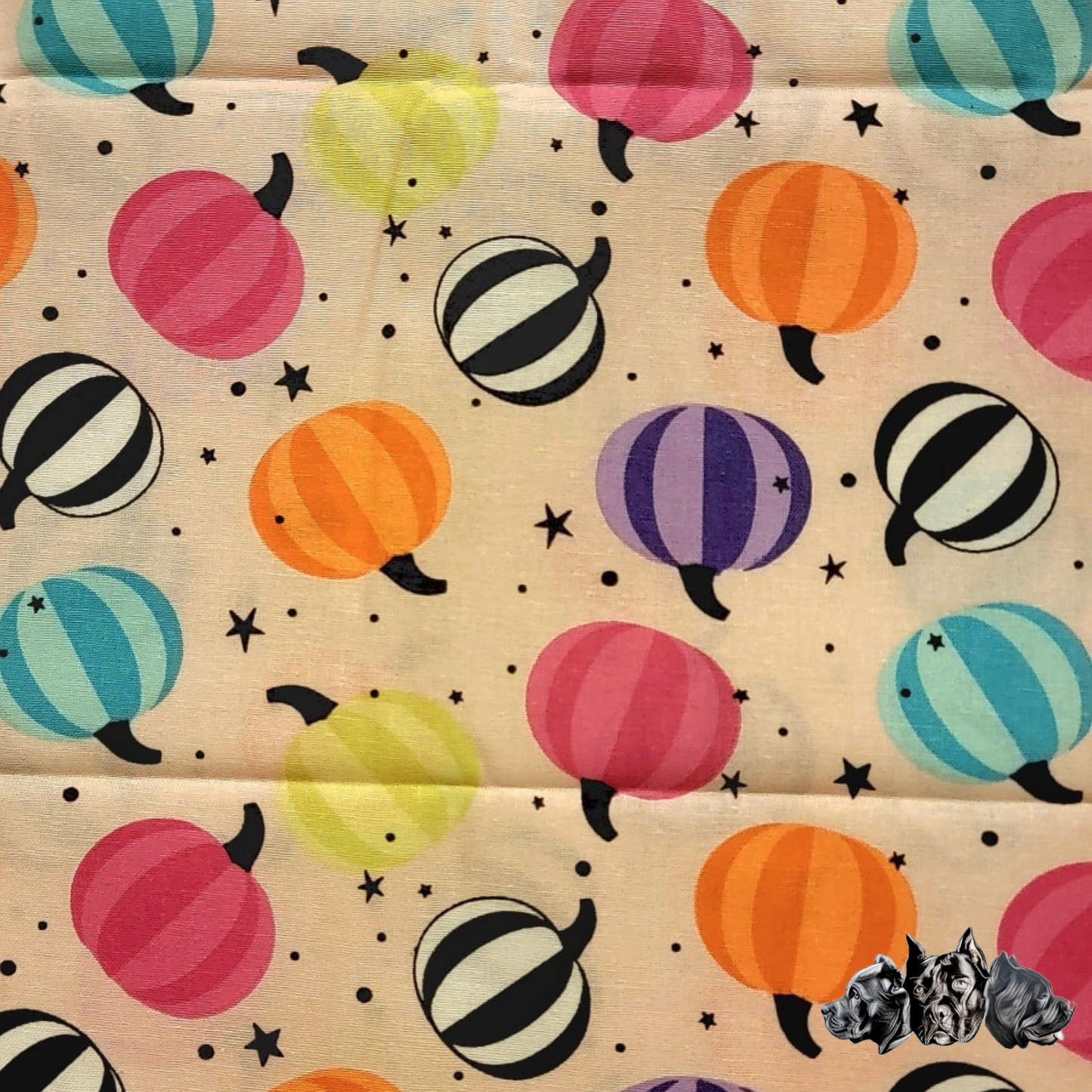 Pre Made Small Colorful Pumpkins Collar
