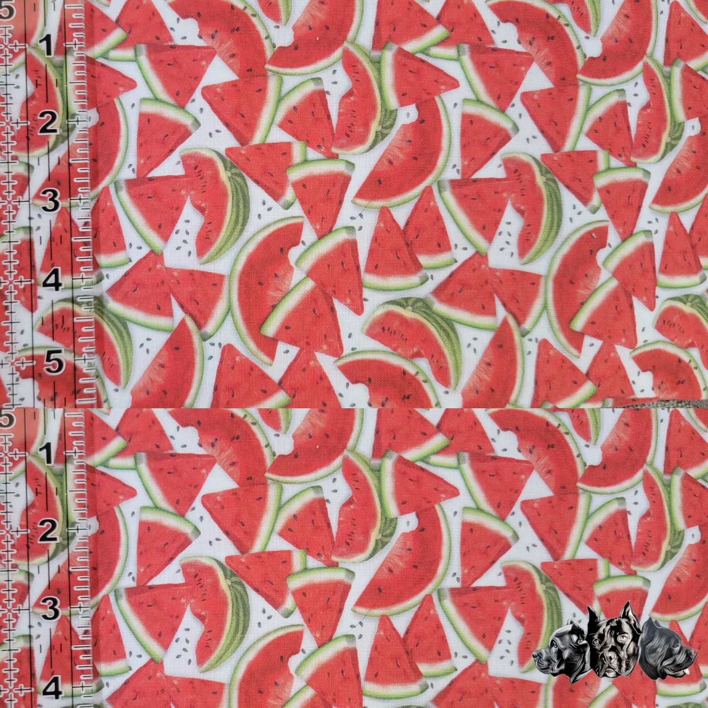 Pre Made Large Watermelon Collar