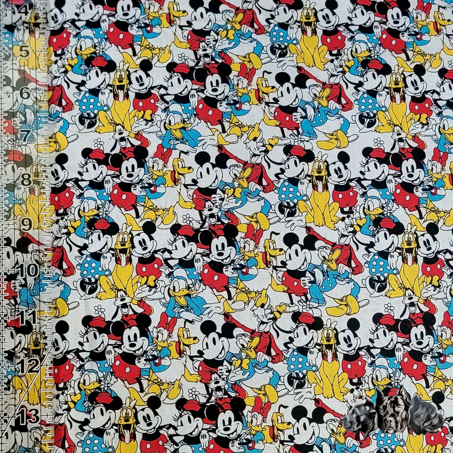 Colorful Mickey Collar