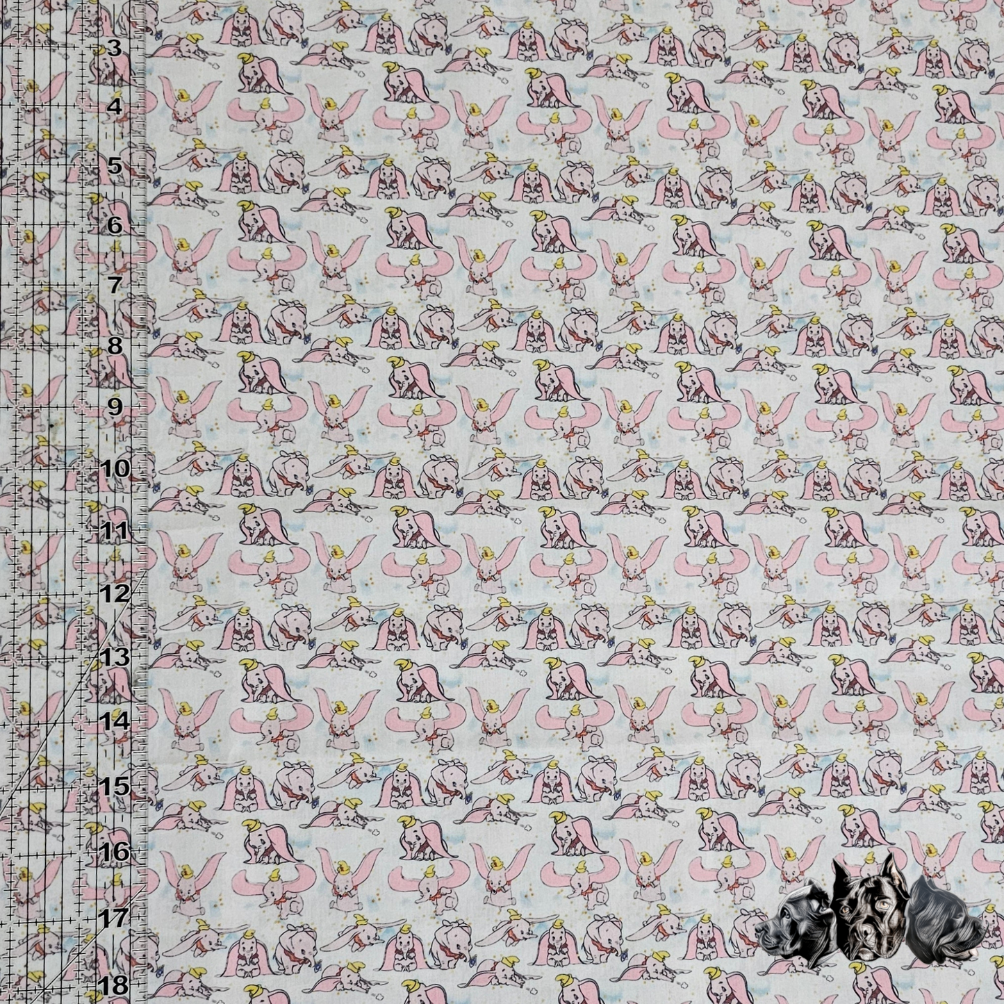 Dumbo Collar