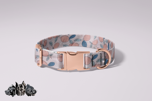 Peach Citrics Collar