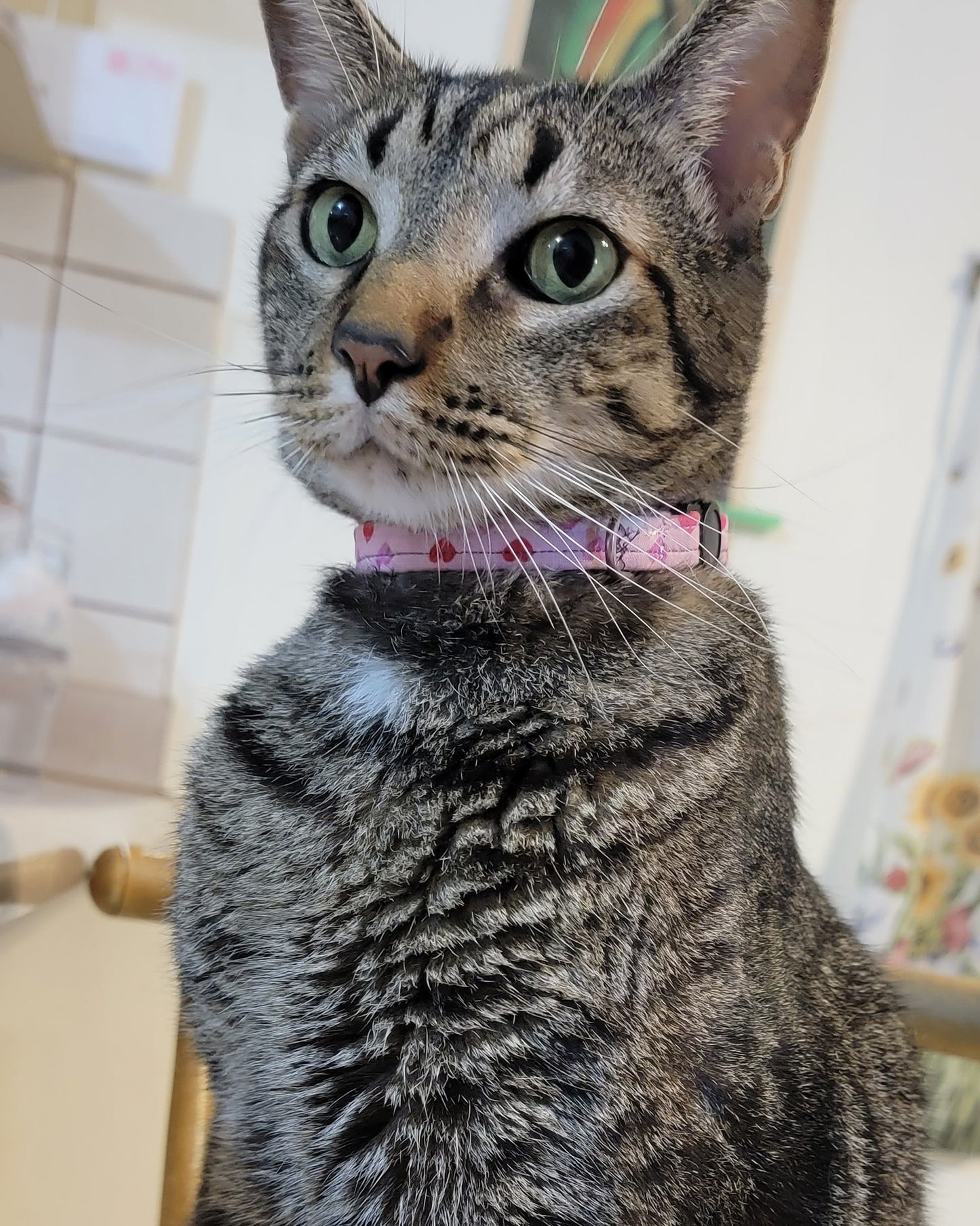 Pink Hearts Collar