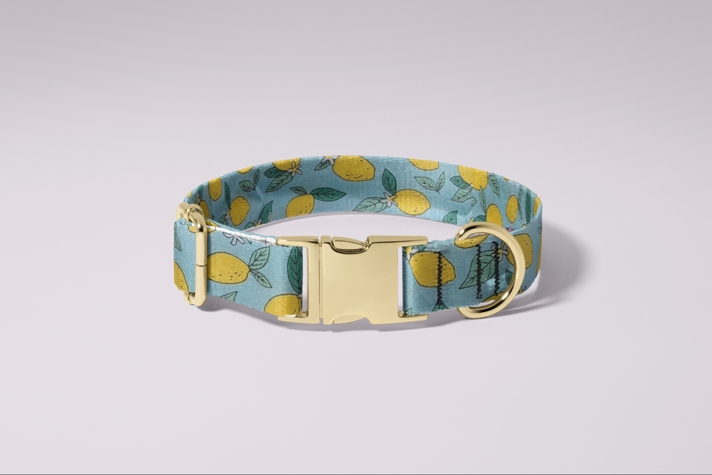 Blue Citrics Collar