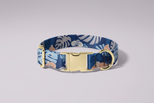 Blue Monstera Collar