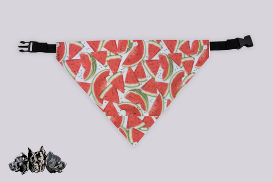 Watermelon Doggy Slip On Bandana