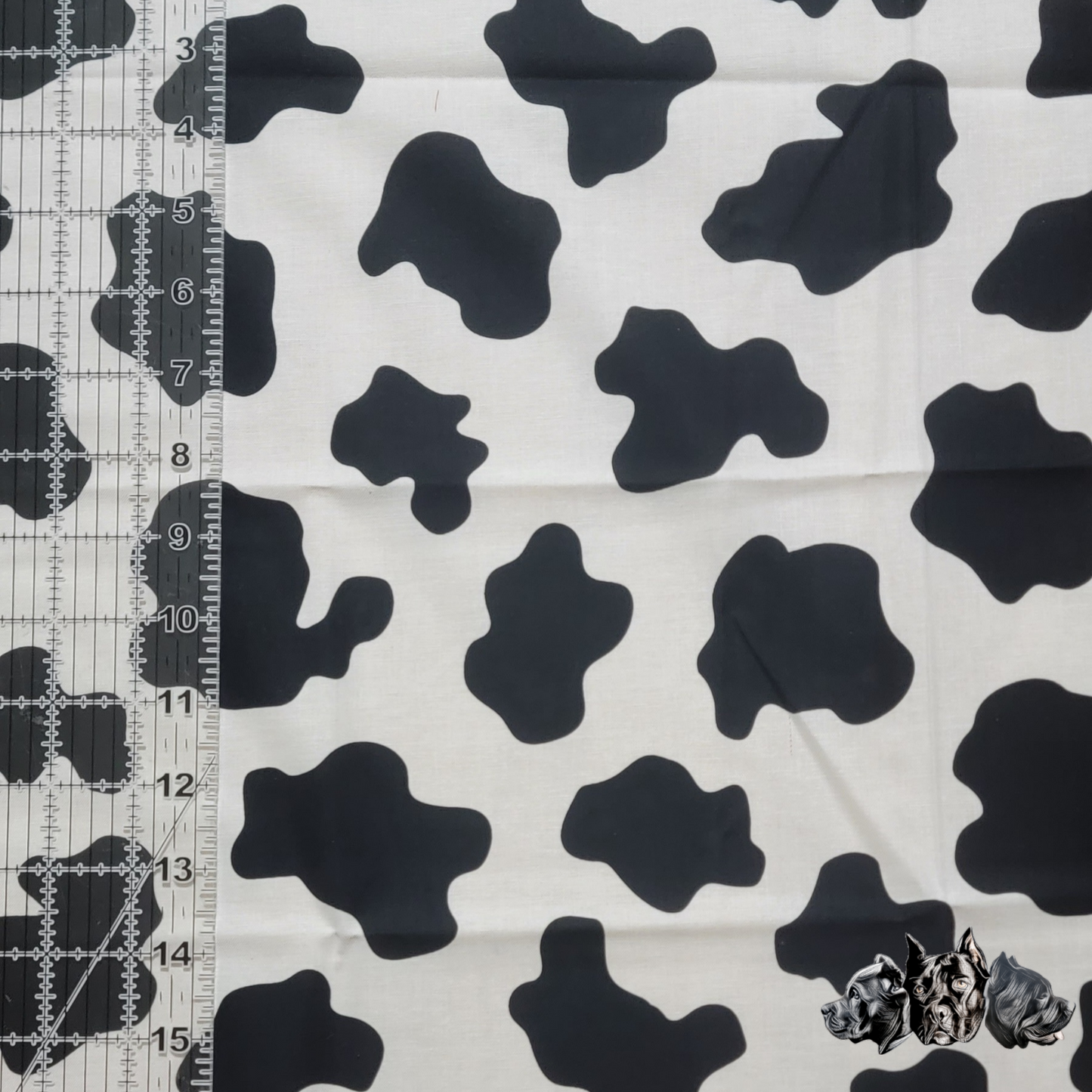 Cow Print Collar